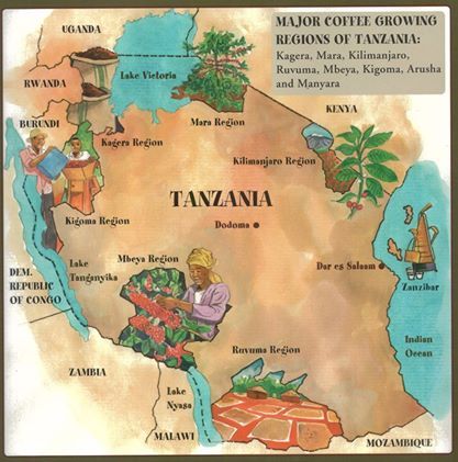 Im-Beutel: (Tansania Kaffee) Tanzania Bukoba Robusta Screen 18 - 250g Kaffee-Regionen: Kagera - Nordwestlichen Hochland Tansanias – Bild 5