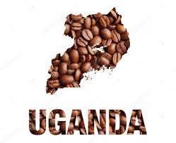 Im-Beutel: Kaffee aus Uganda : Uganda natural Robusta Screen 18 - 250g Kaffee-Regionen: Osten und Nordwesten (Onkoro) – Bild 5