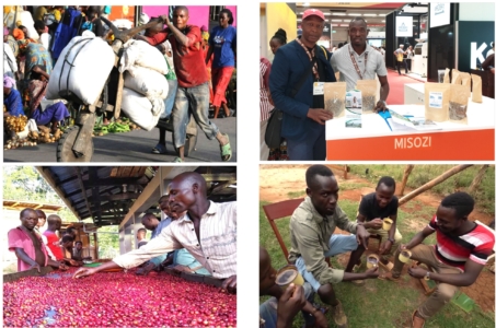 Kaffee aus Kenia und Tanzania Kaufen