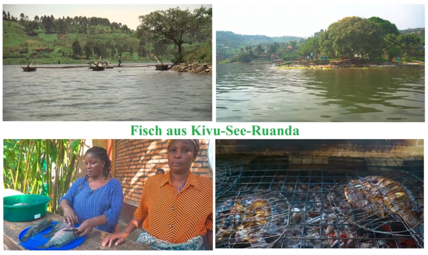 Fisch aus Kivu-See-Ruanda Fisch aus Kivu-See-Ruanda