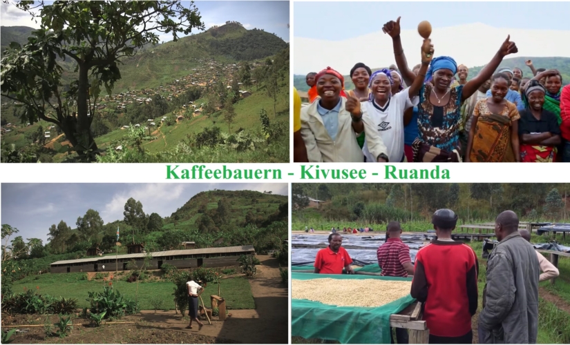 Kaffeebauern Kivusee Ruanda Kaffeebauern Kivusee Ruanda