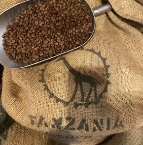 Im-Beutel: (Tansania Kaffee) Tanzania Bukoba Robusta Screen 18 - 250g Kaffee-Regionen: Kagera - Nordwestlichen Hochland Tansanias – Bild 3