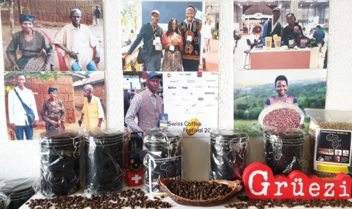 Kaffee aus Elfenbeinküste Gabon und Kamerun Kaufen