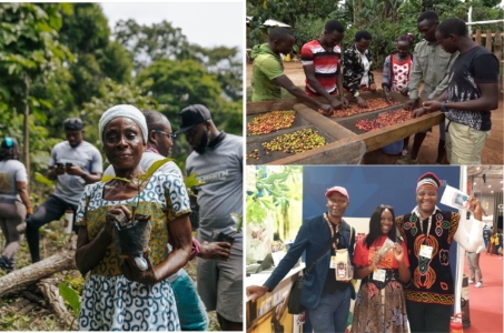 Afrikanischer-Kaffee-Röster-Im-Hunziker-Areal-Zürich-Oerlikon