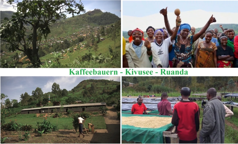 Kaffeebauern Kivusee Ruanda